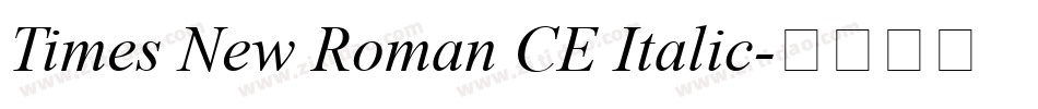 Times New Roman CE Italic字体转换